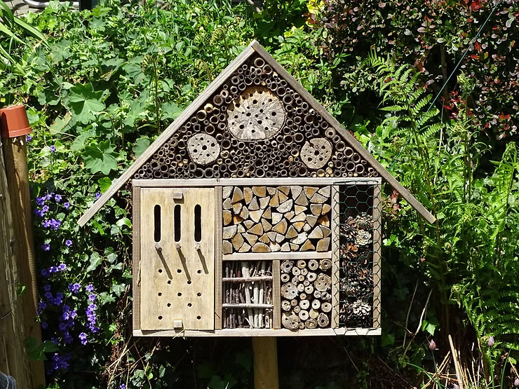 bug-house-in-the-garden