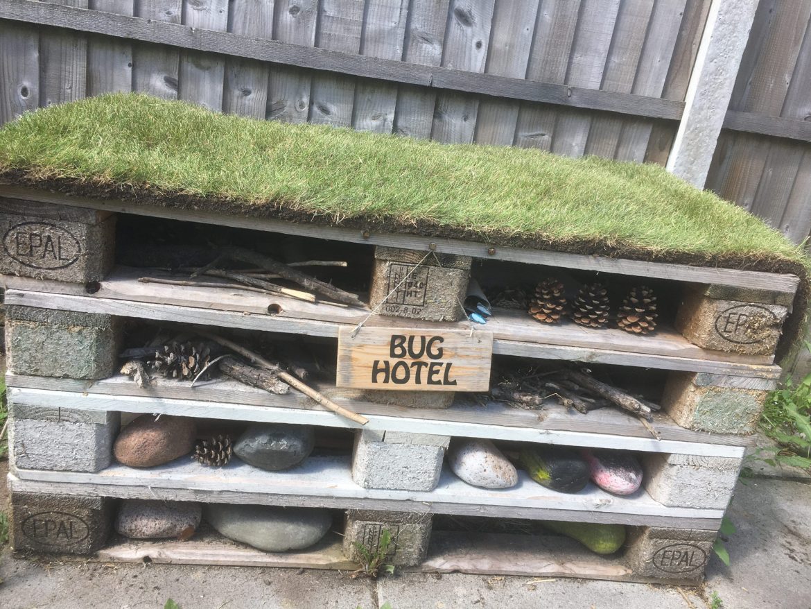 grass-roofed-hotel