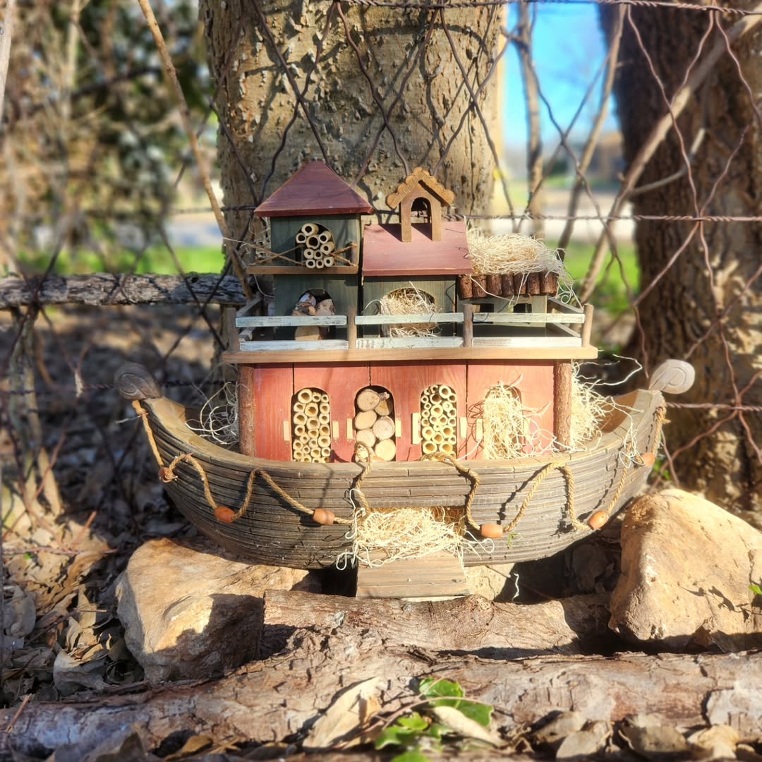 noahs-ark