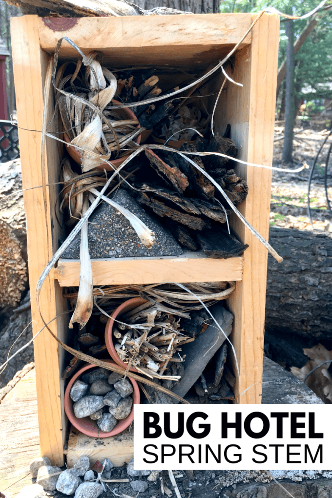 kids-bug-hotel