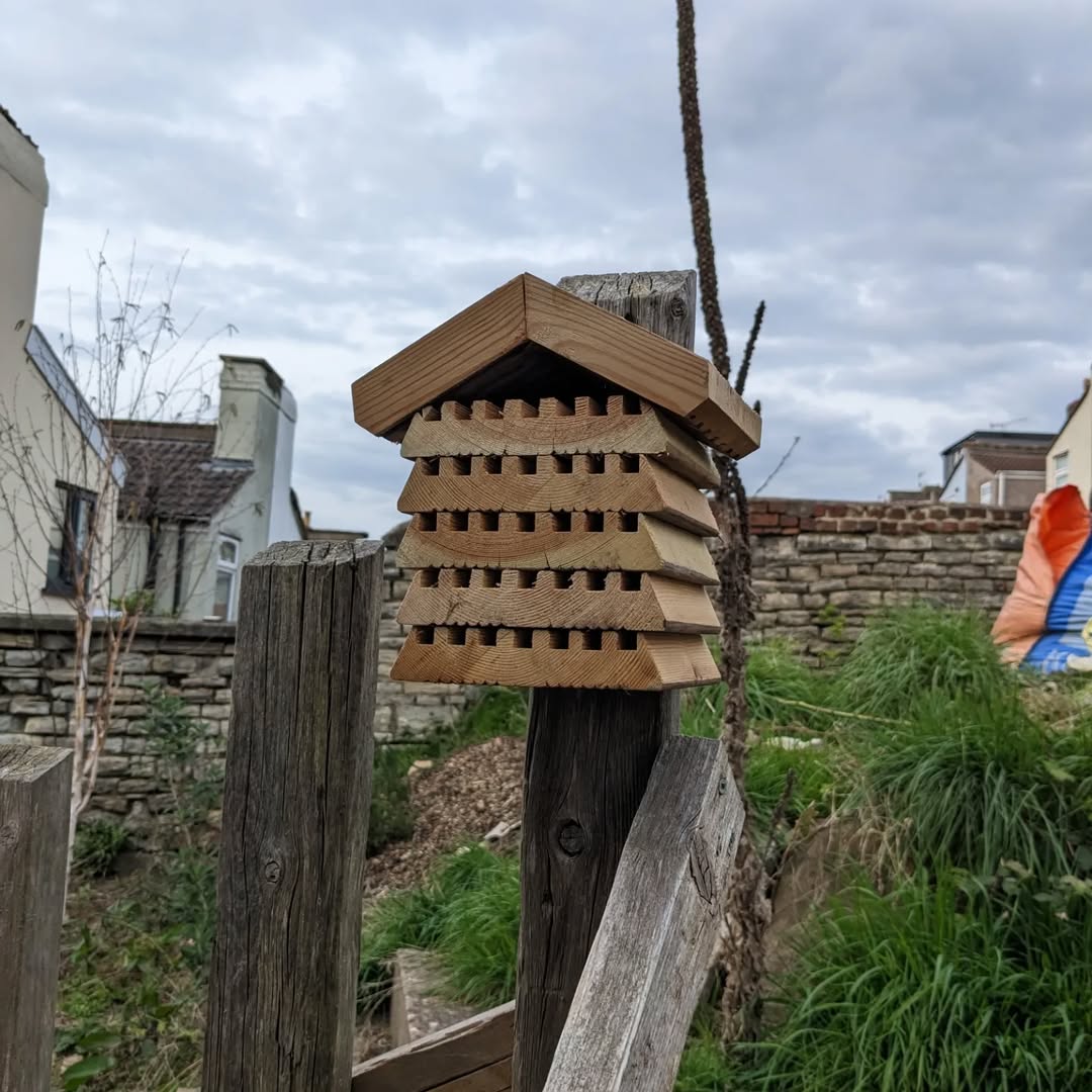 bee-blocks