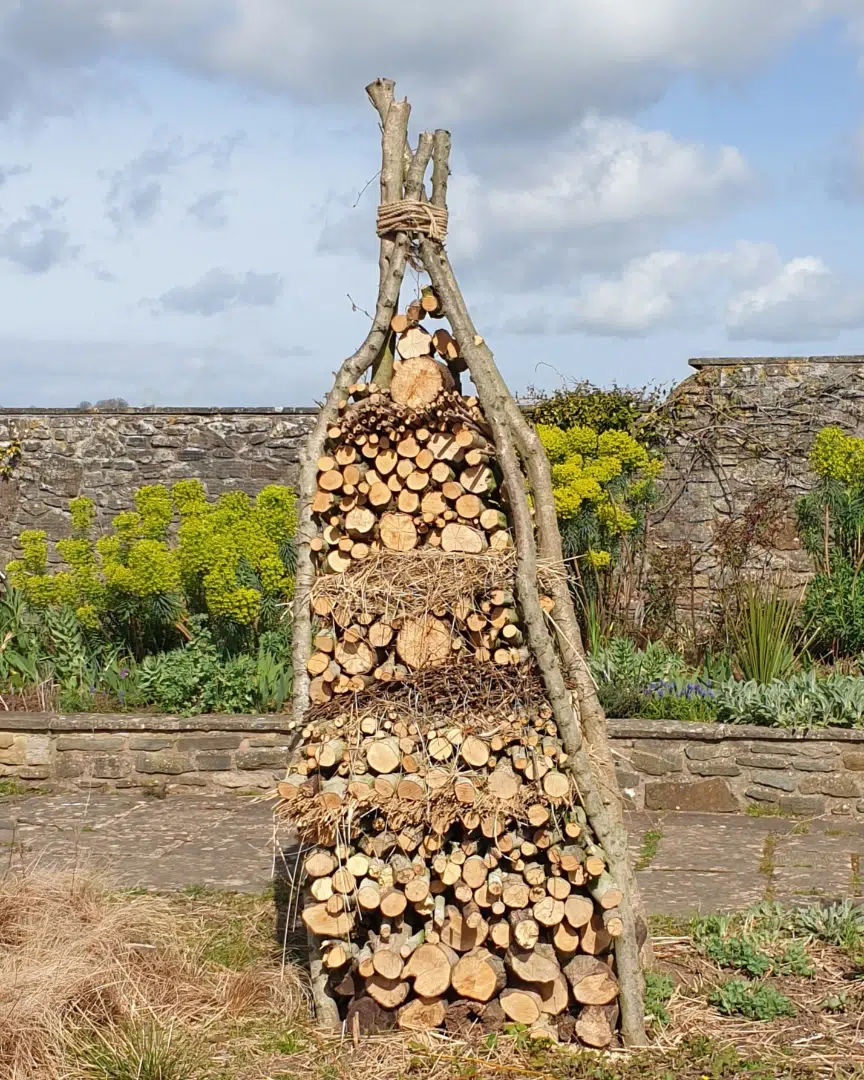 artsy-bug-hotel