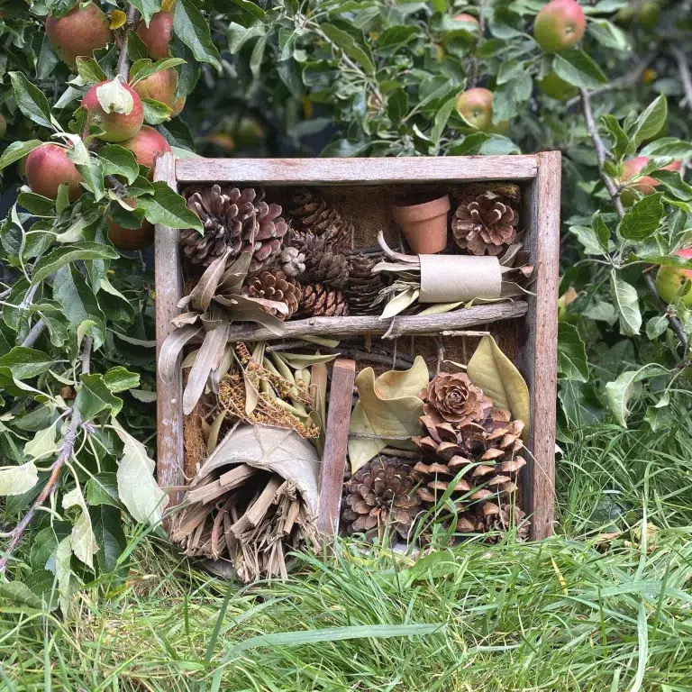 tiny-bug-hotel