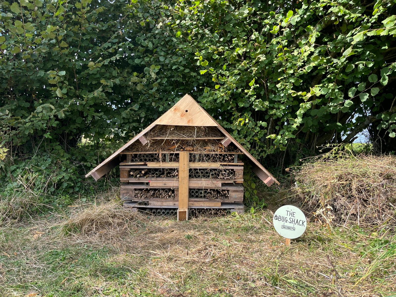 bug-shack