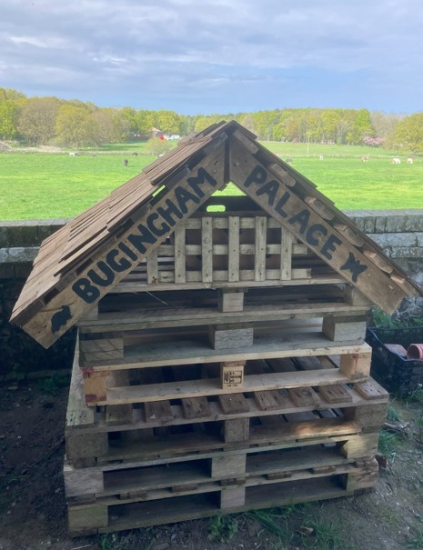 rustic-pallet-hotel