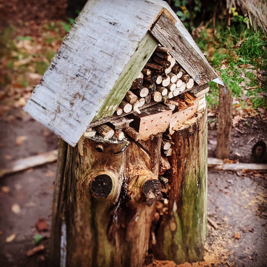 log-house