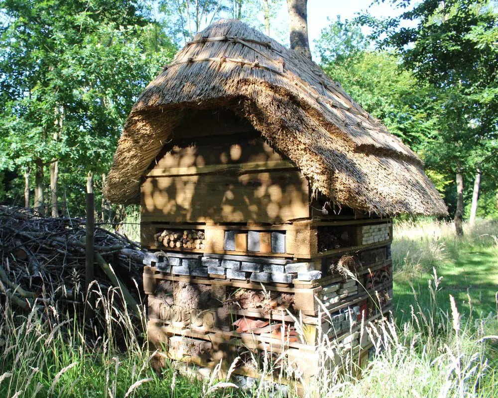 thatched-roof-eco-hotel