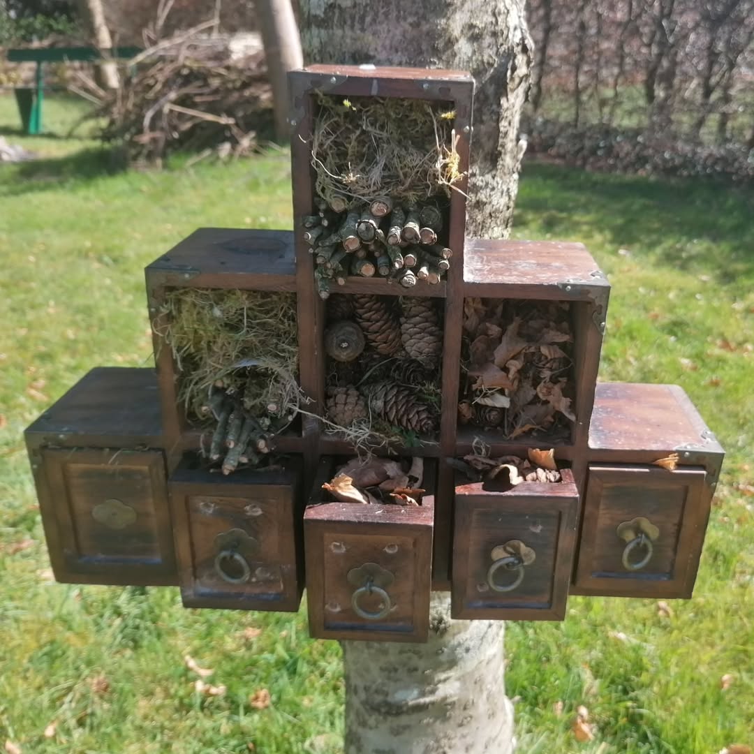 diy-drawer-bug-hotel