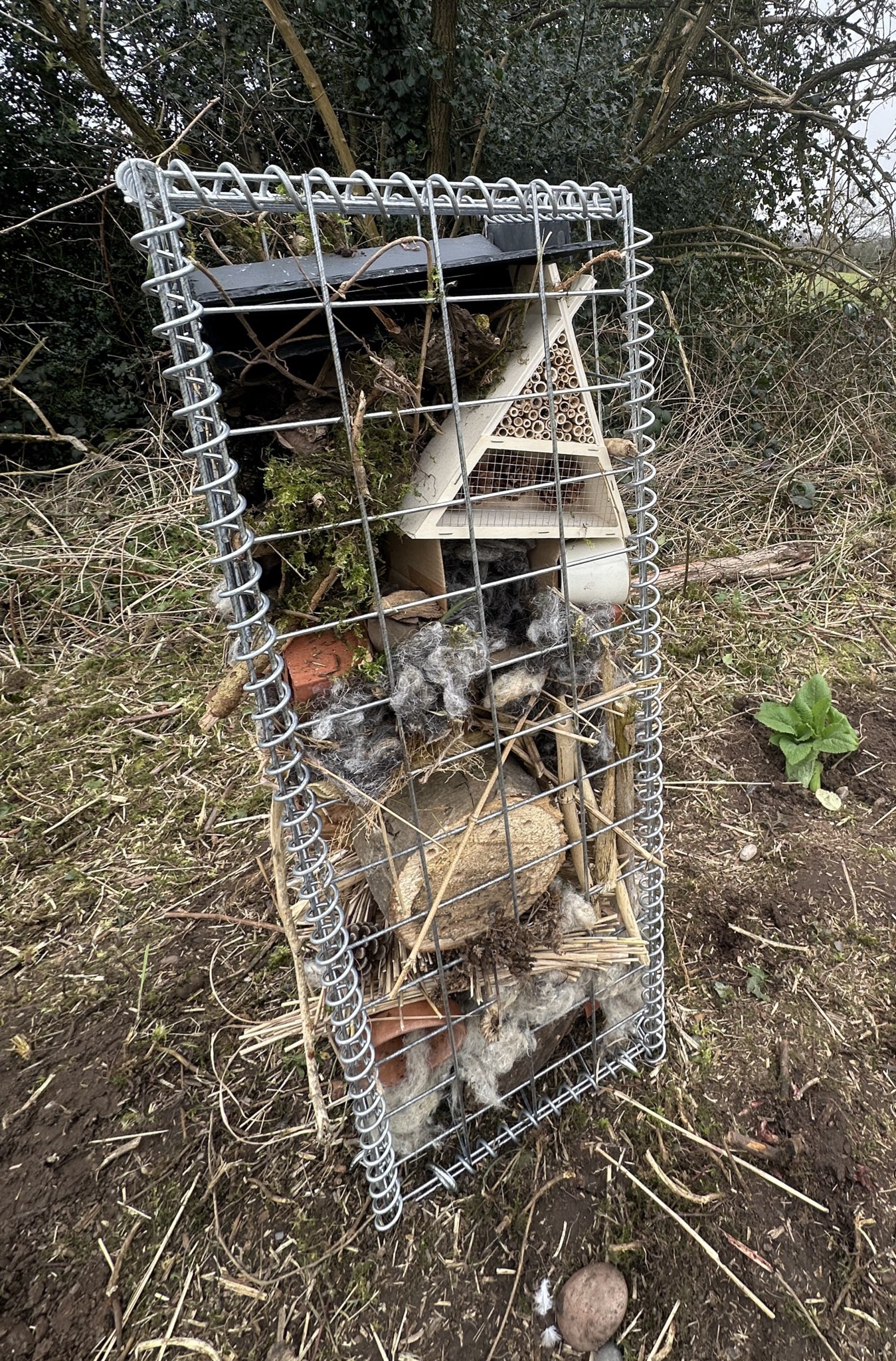 rectangle-shaped-insect-house