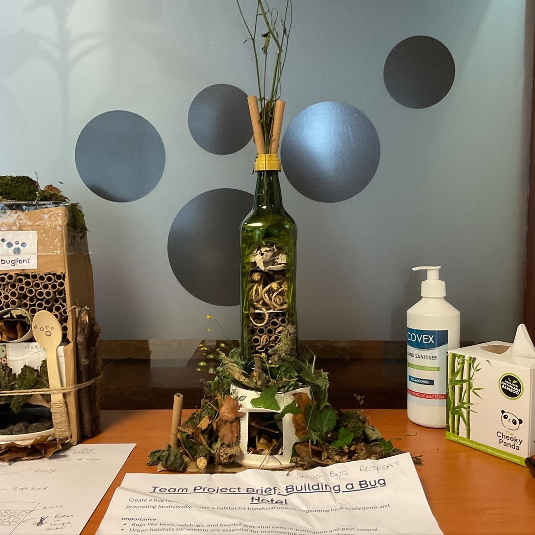 bug-house-in-bottle