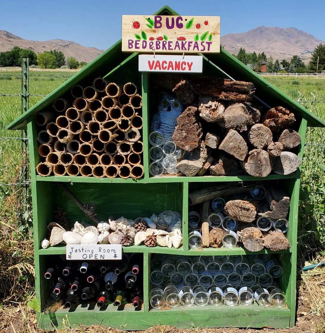 green-bug-vacancy