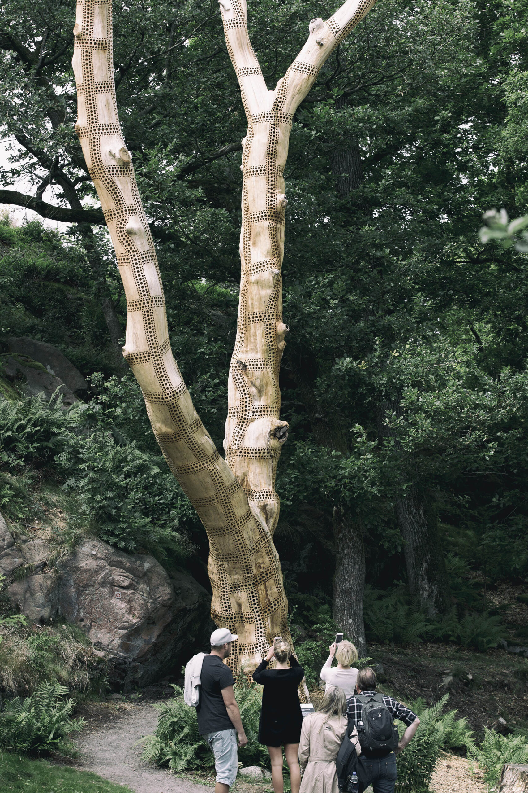 carved-in-tree-bug-hotel