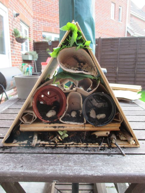 diy-bughouse