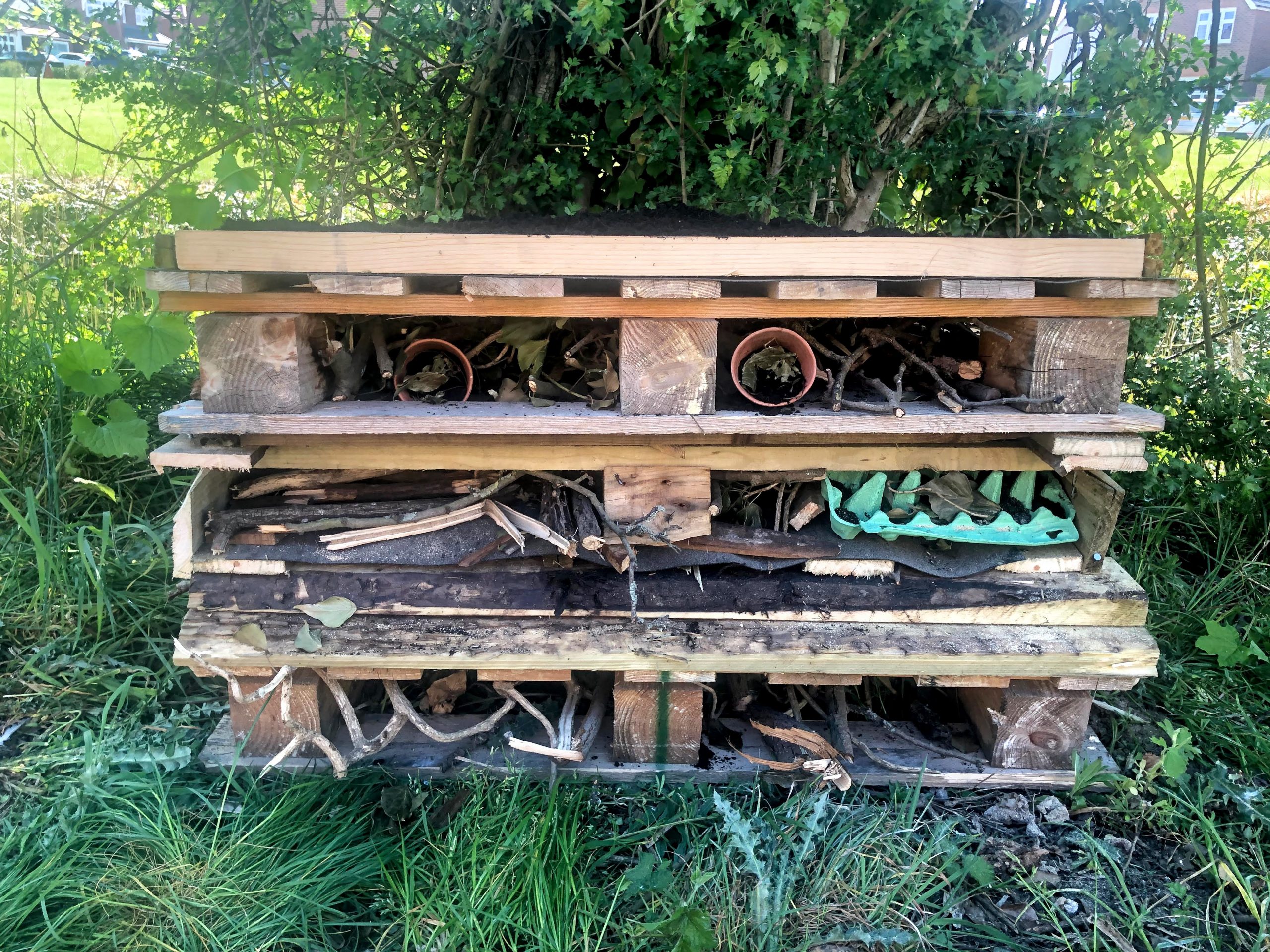 diy-pallet-insect-house
