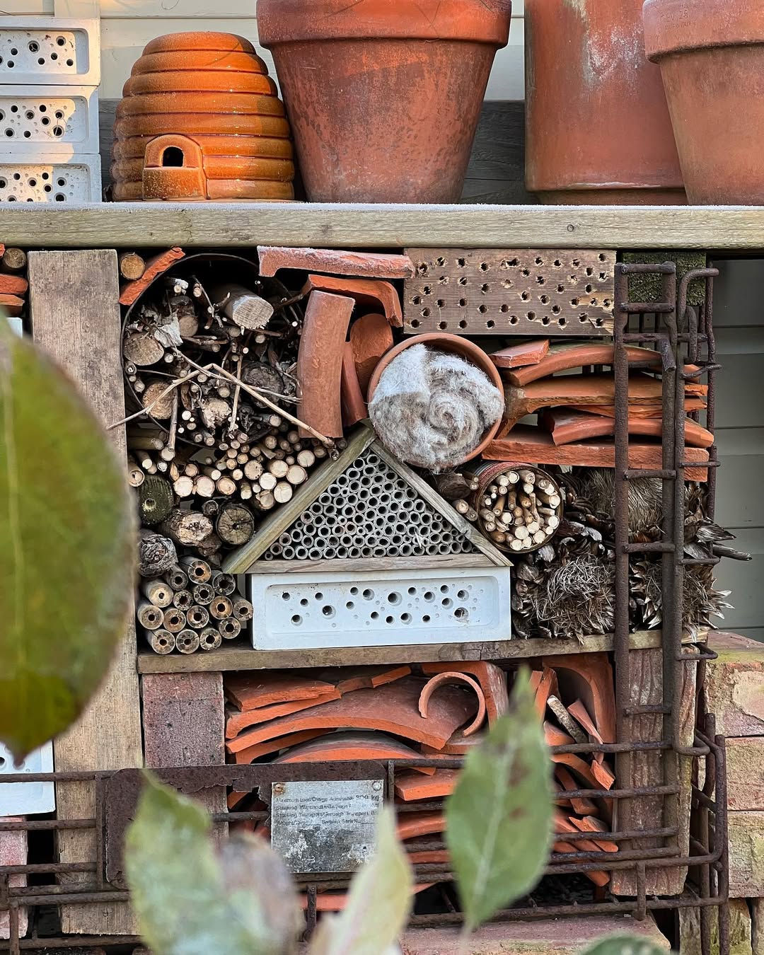 bug-shelter