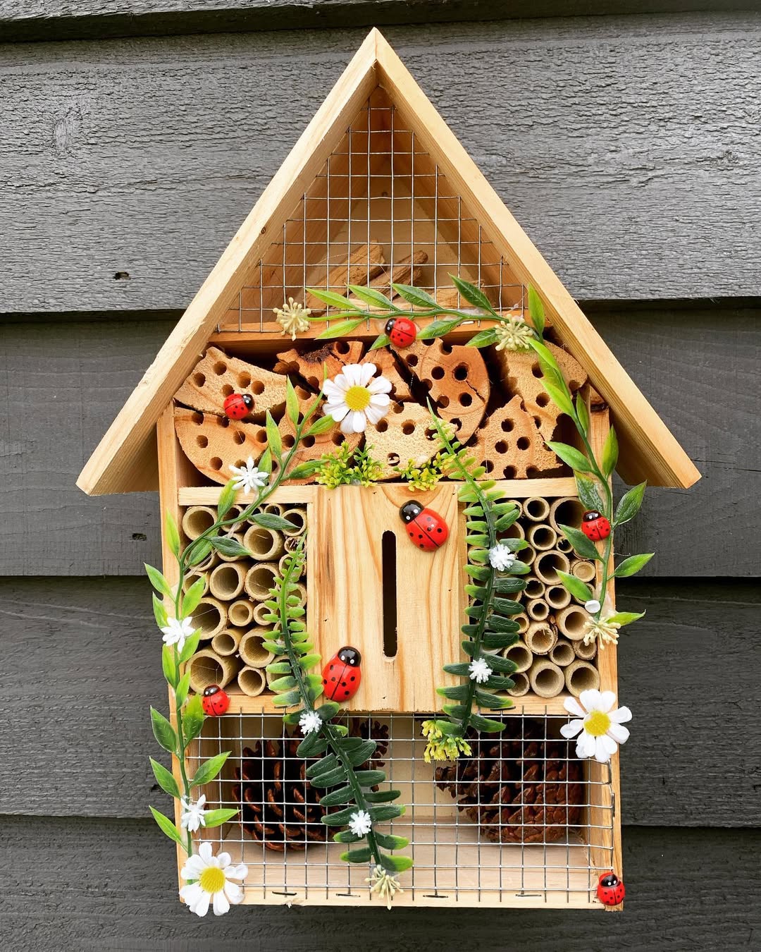 tiny-insect-house
