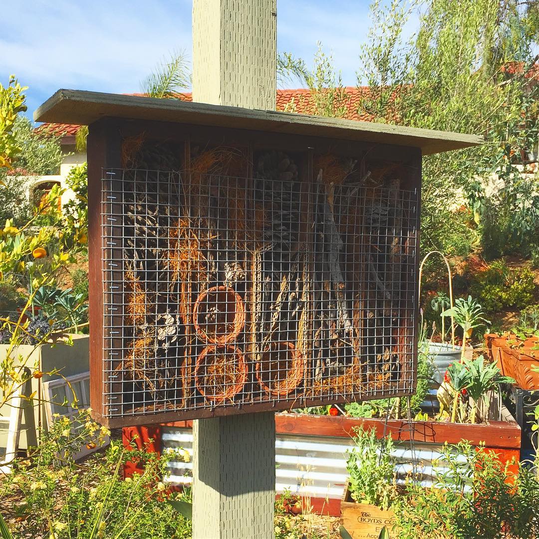 rustic-bug-house
