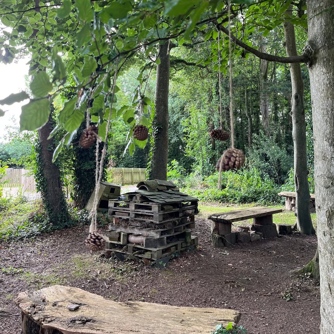 shelter-in-the-woods