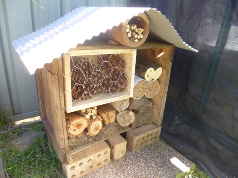 diy-wooden-project