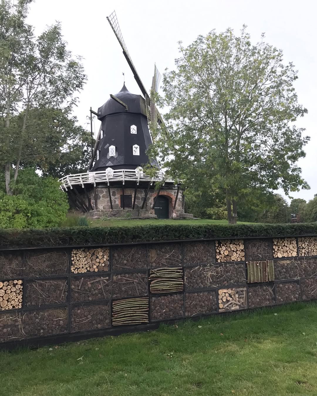 bug-hotel-by-the-windmill