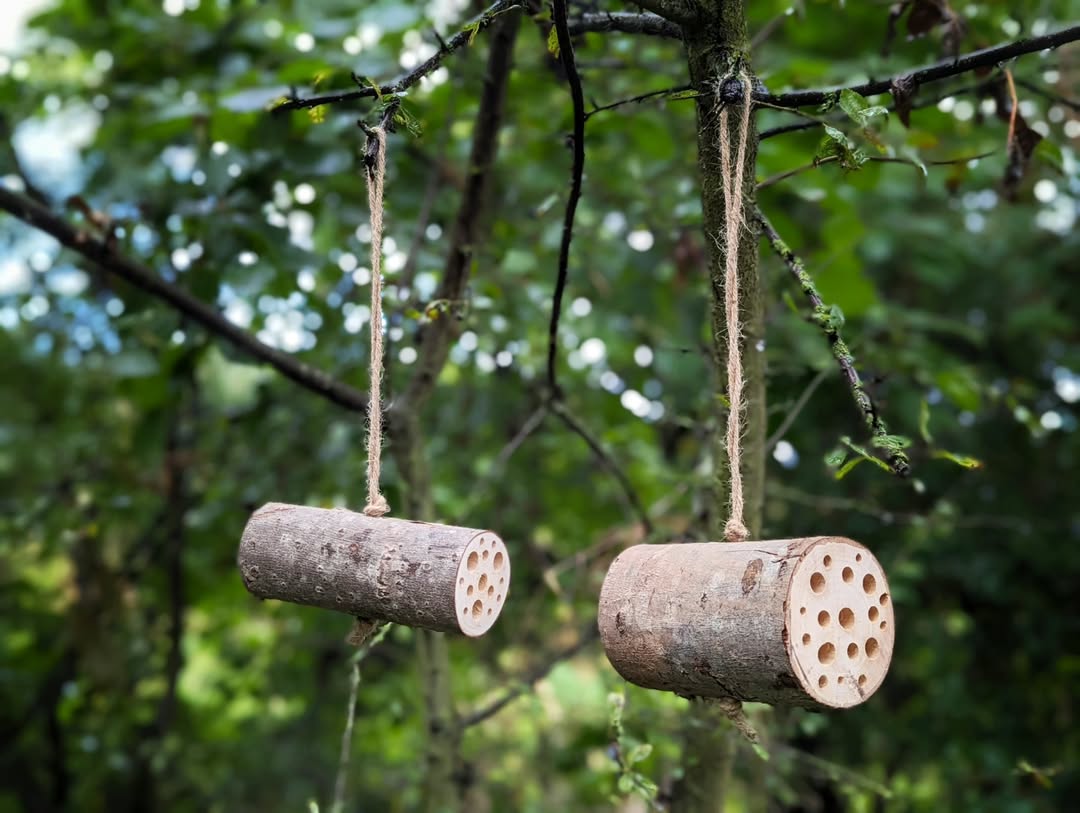 bee-logs