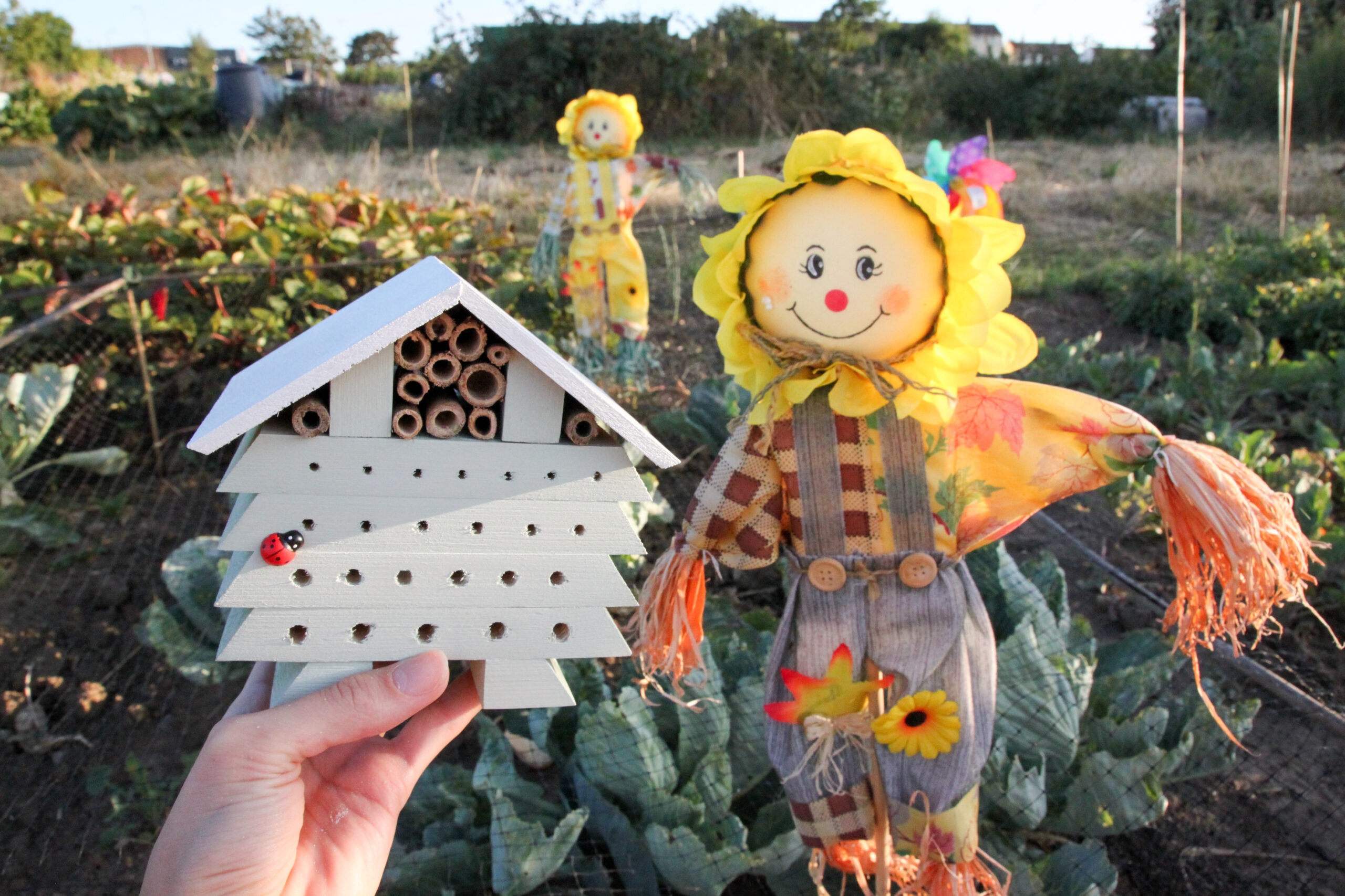 little-wooden-bug-house
