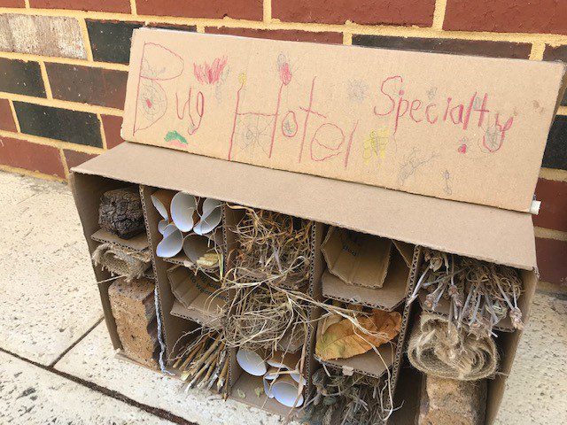 carton-insect-hotel