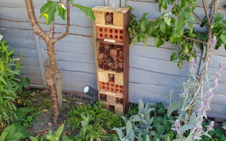 little-pallet-house