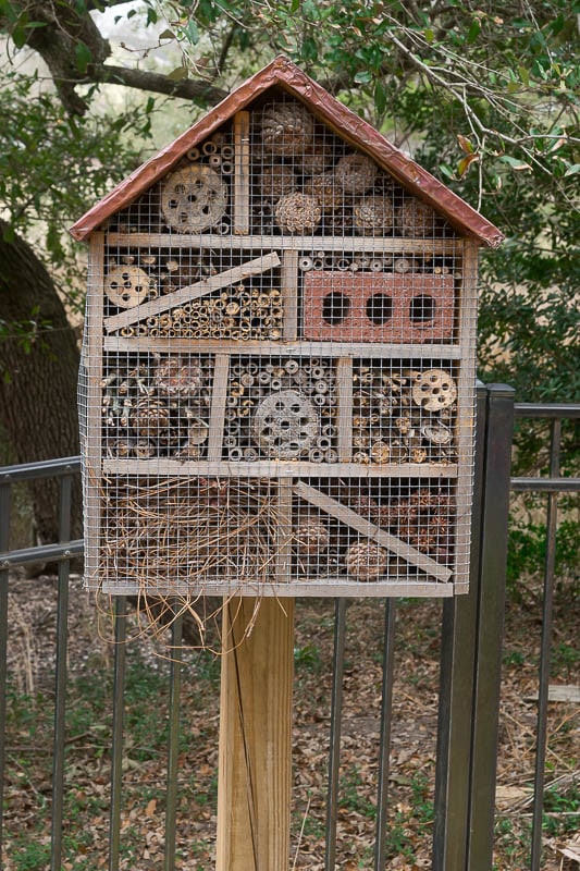 wire-framed-insect-house
