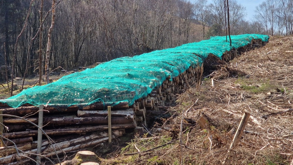 longest-bug-hotel