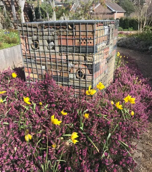 habitat-for-garden-wildlife