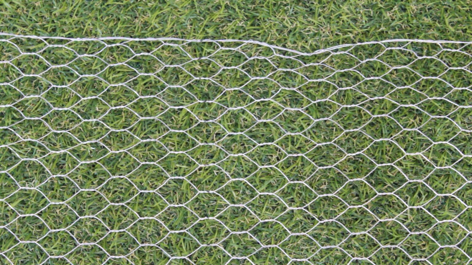Chicken Wire