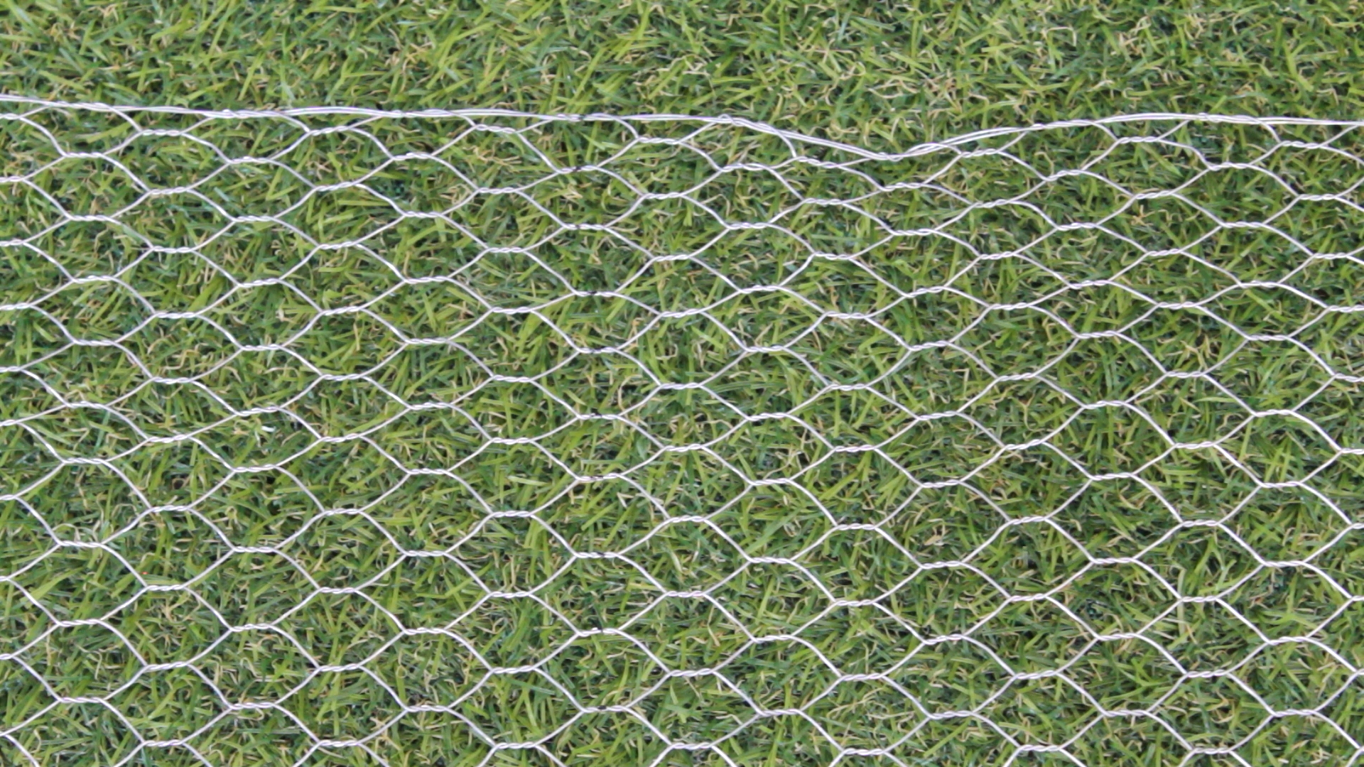 Chicken Wire | Wire Fence