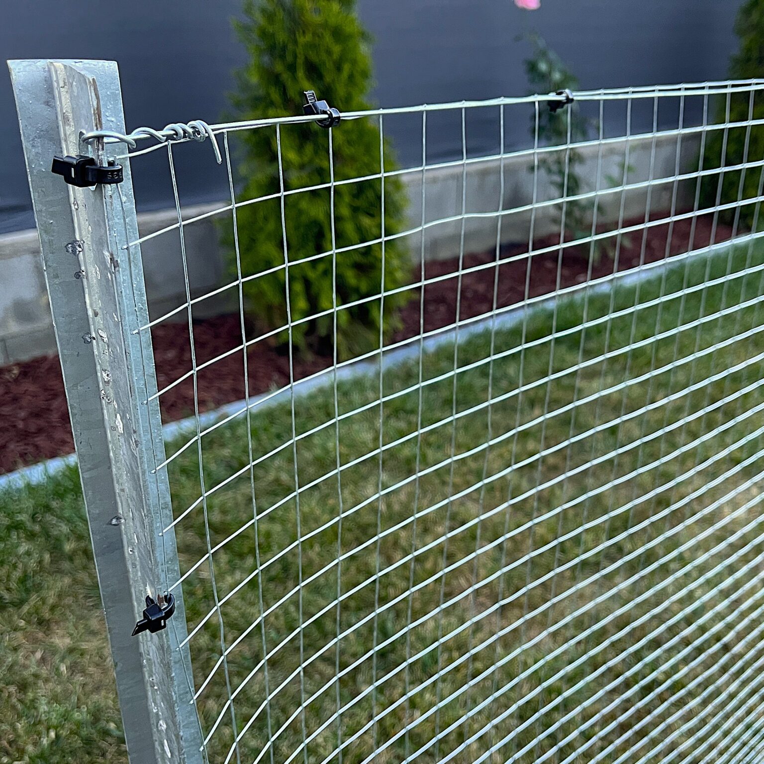 Welded Wire Mesh