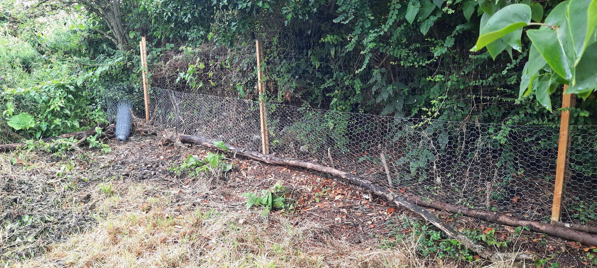 back-garden-rabbit-fence