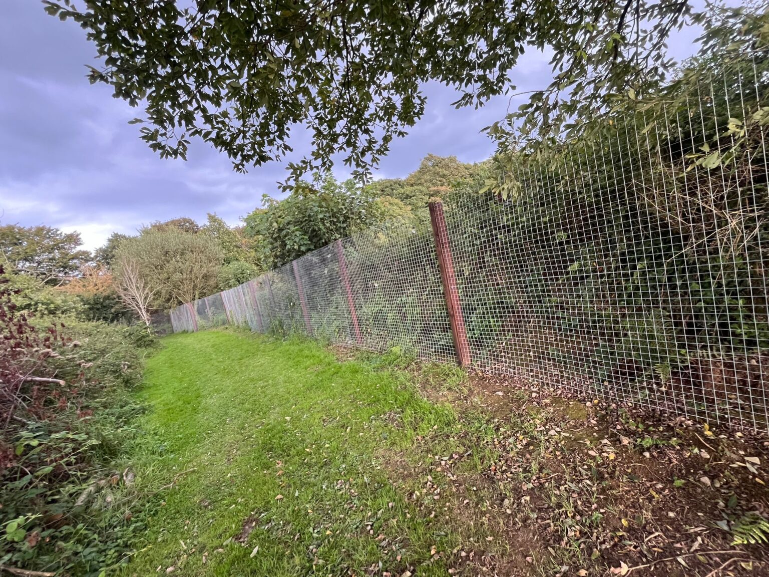 fenced-off-training-area