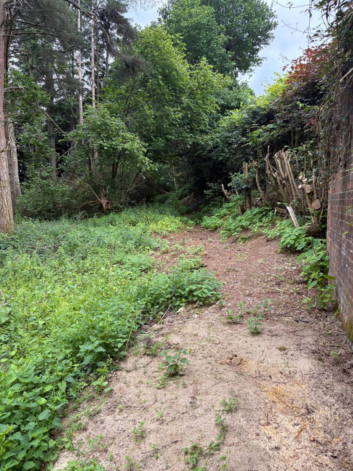 site-ready-for-renovation