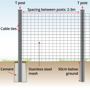 anatomy-stainless-steel-mesh