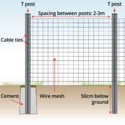 anatomy-welded-wire-mesh