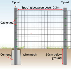 anatomy-welded-wire-mesh