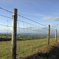 Deer Fencing