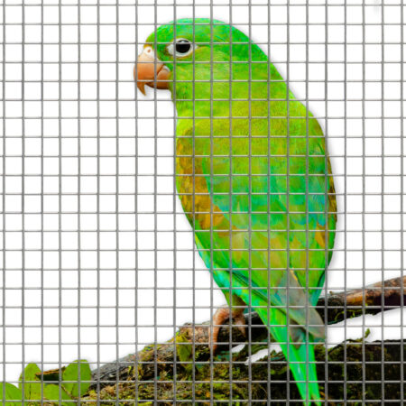 Aviary Mesh