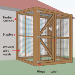 aviary-mesh-anatomy
