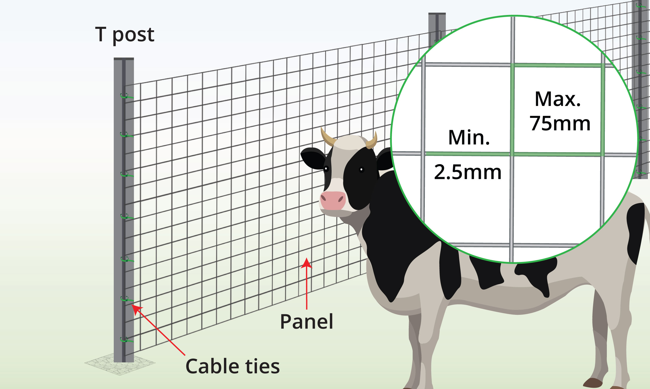 cattle-panel-anatomy