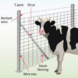 cattle-stock-fence-with-tpost-anatomy