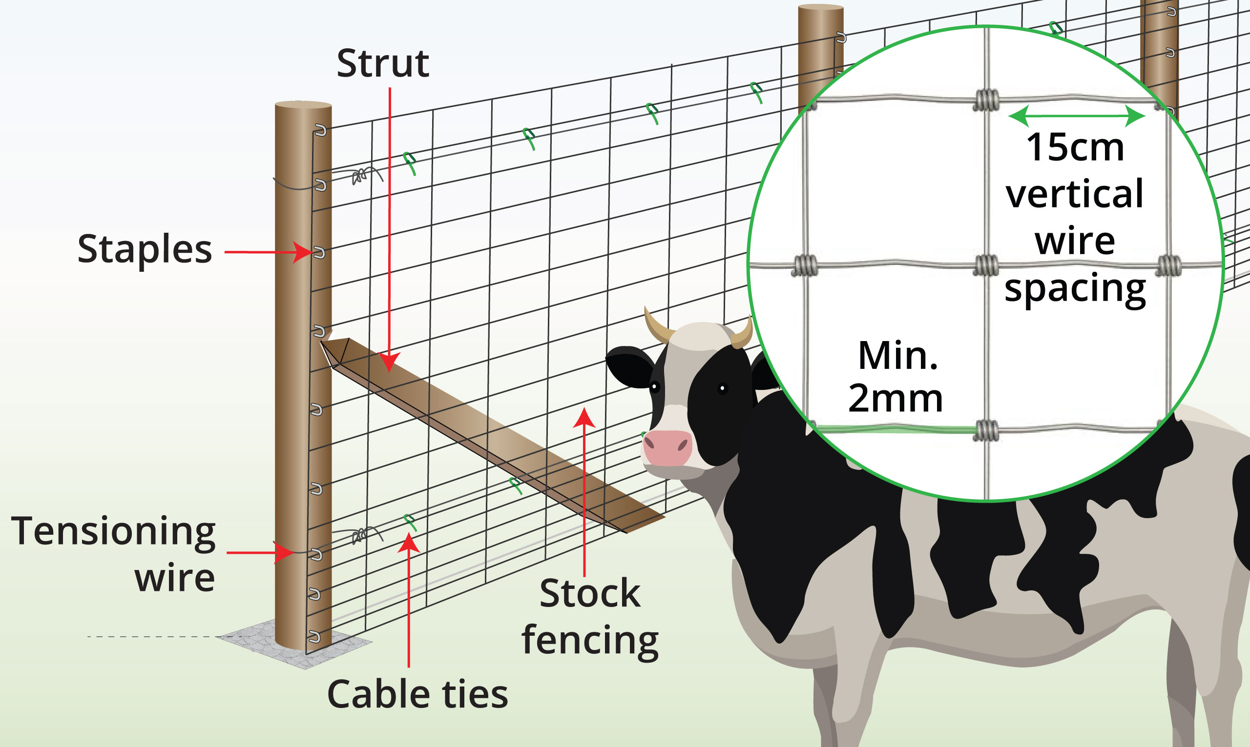 cattle-stock-fence-with-wood-anatomy