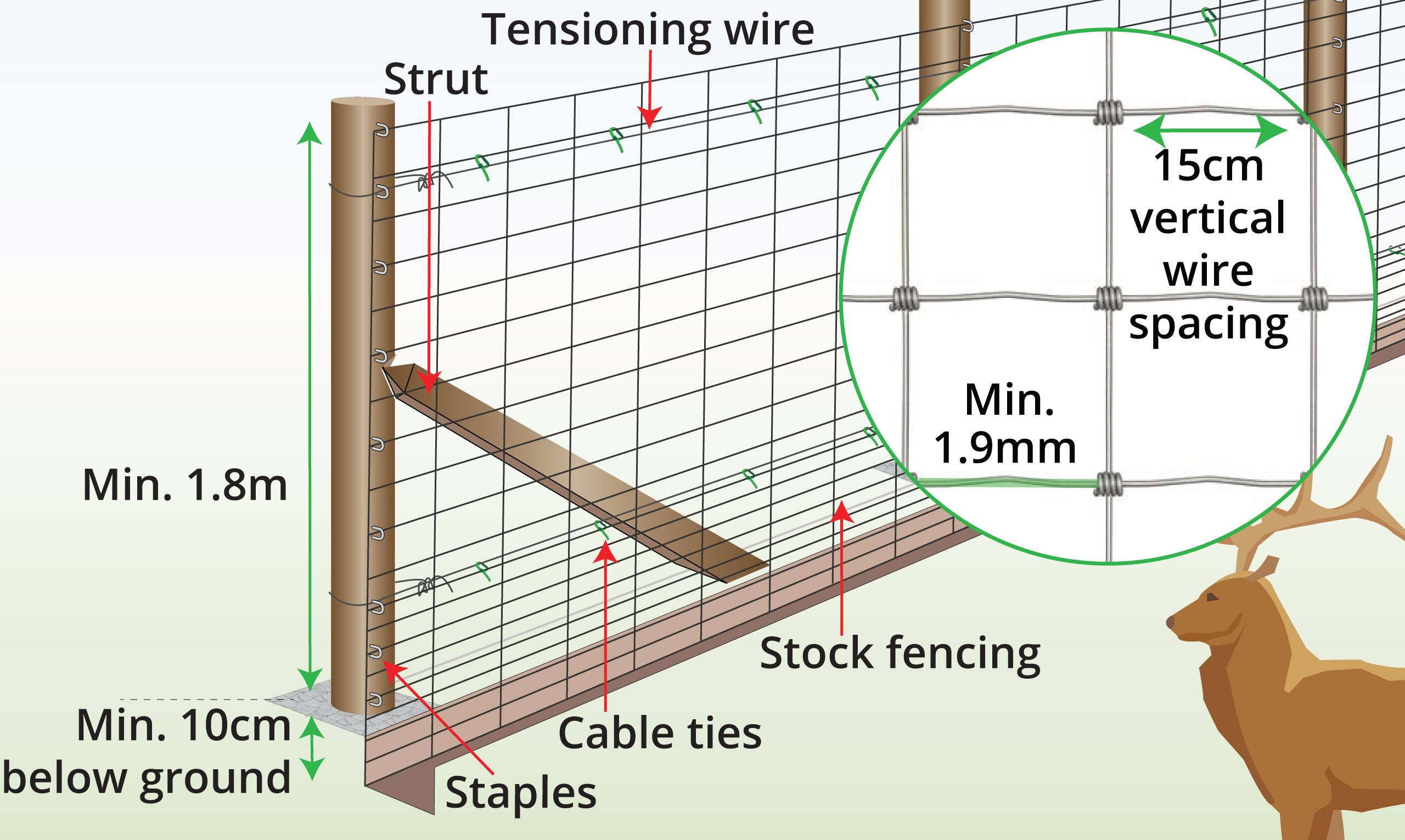 deer-fencing-anatomy