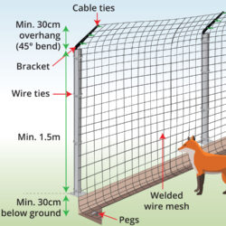 fox-proof-fencing-with-t-posts-anatomy