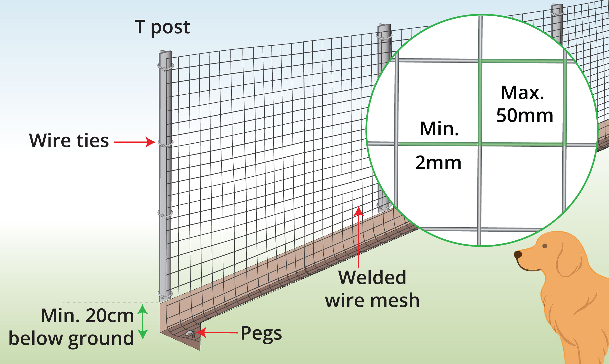 large-dog-fence-anatomy