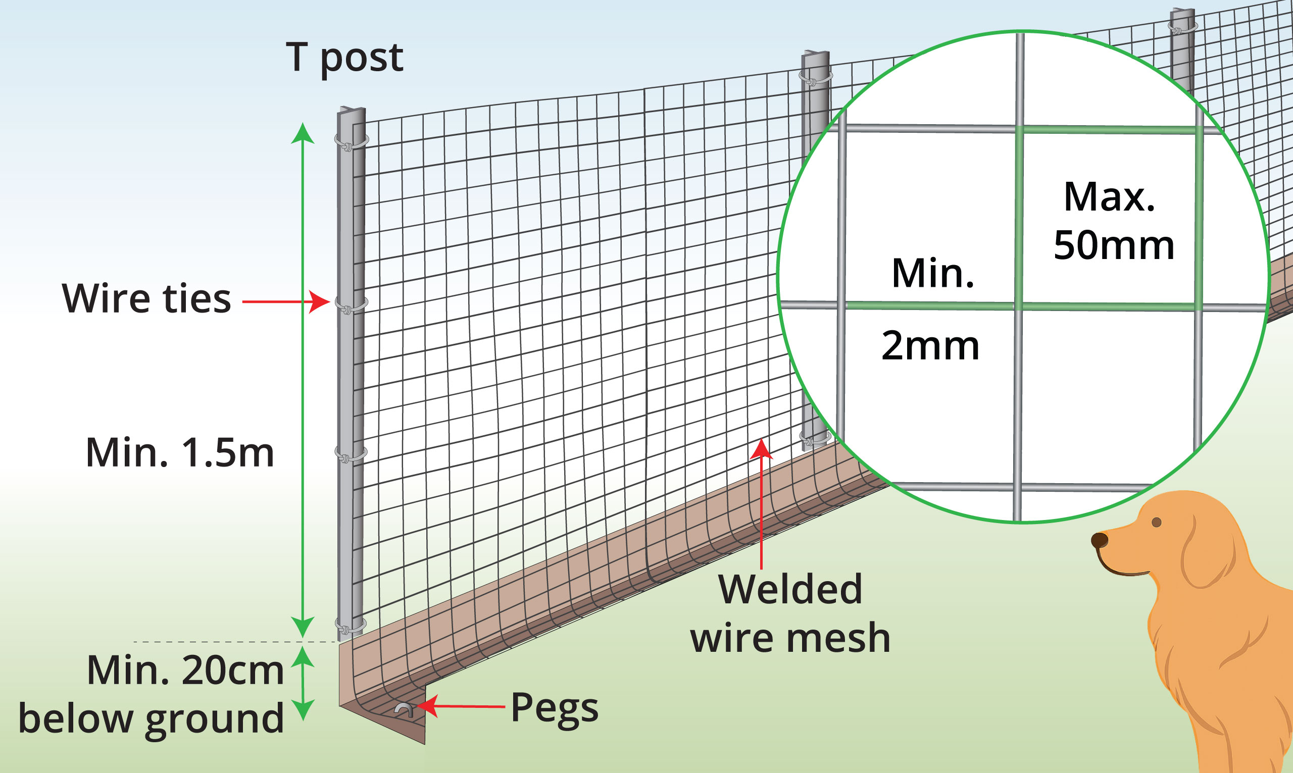 large-dog-fence-anatomy